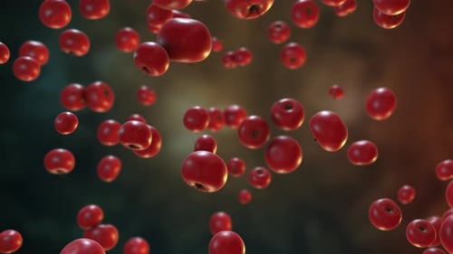 Floating Red Apples Seamless Loop Background