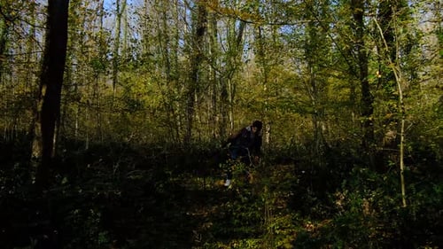 Gehen Herbst