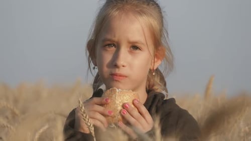 Hungry Child Eating Bread in Wheat Field, Summer Outdoor Lifestyle.