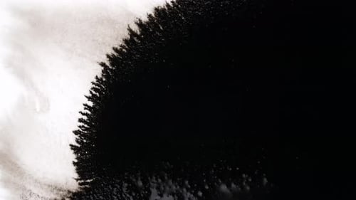 Black Ink Drops On White Background