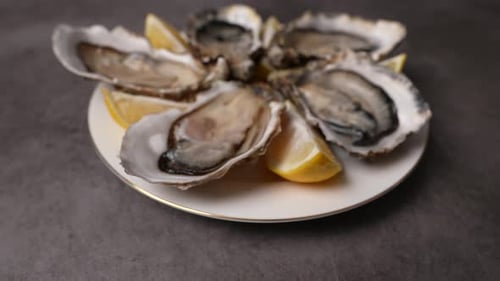 Fresh Oysters 08