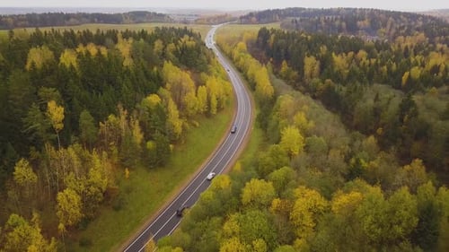 Aerial Following Shot of Cars Driving Along Winding Country Road Through Autumn Forest
