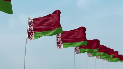Multiple Waving Flags of Belarus Against Blue Sky