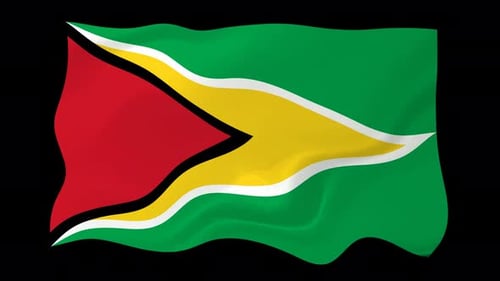 Waving National Flag of Guyana with Realistic Fabric Motion