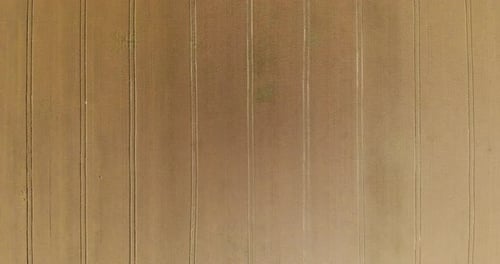 Aerial View of Brown Field with Rows of Crops