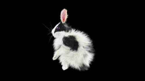 Animated Fluffy Rabbit Character Waving and Gesturing