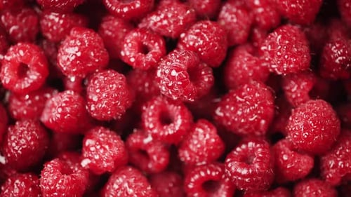 Close Up of Rotation Scarlet Raspberry