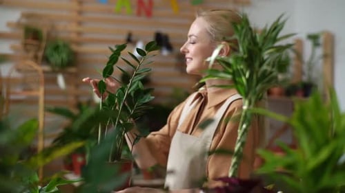 Side View of Cheerful Young Woman Florist Wearing Apron Holding Potted Plant in Floral Shop and