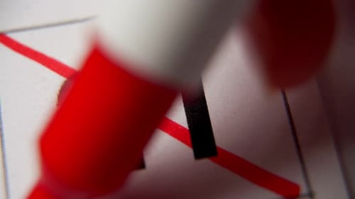 El número 21 del calendario está tachado con una cruz roja en una macro en una hoja blanca