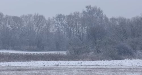 Winterlandschaft mit Schneefall bedeckt