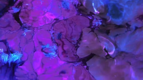 Wirbel und Explosion von gemischten Farben 6