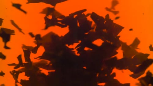 Tea Leaves Moving in Hot Orange Liquid