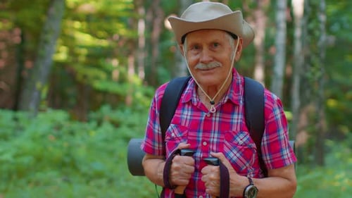 Senior Old Caucasian Tourist Hiker Grandfather Training Nordic Walking with Trekking Poles in Forest