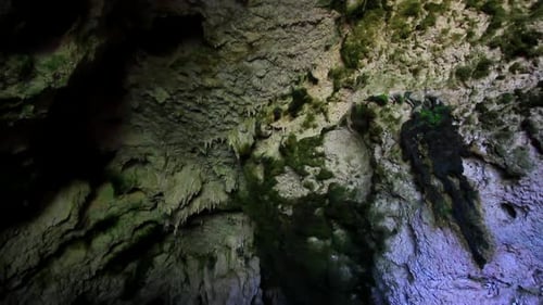 Una mirada a una cueva cubierta de musgo con interesantes formaciones de piedra en el techo y las paredes.