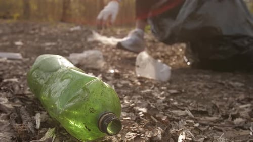 Person Cleaning Litter in Nature with Gloves