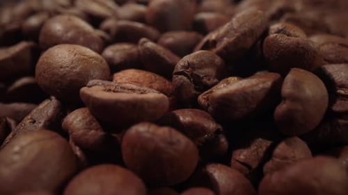 Сoffee Beans are Falling
