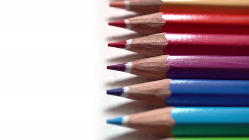 Lápices de colores sobre el fondo blanco