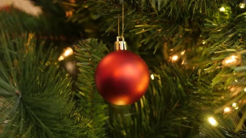 Red decorative bauble on the branch 4K 2160p 30fps UltraHD footage - Matte color decorative ornamen