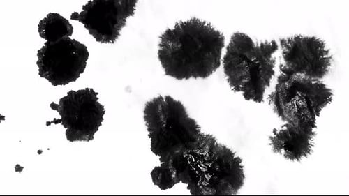 Black Ink Drops Spreading on White Background