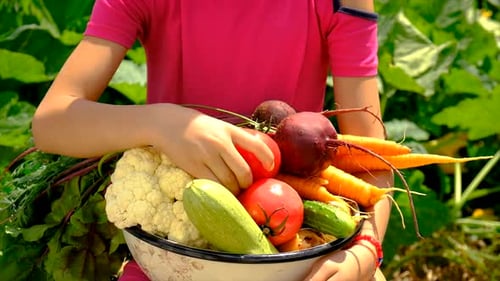 Child in the Vegetable Garden
