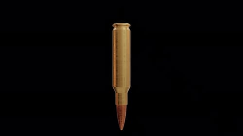 Bullet Plattenspieler Loop
