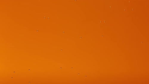 Detail of a Beer Glass with Carbonated Liquid