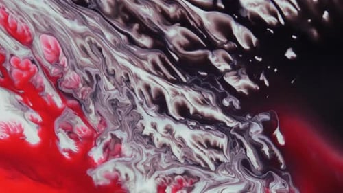 Abstract Swirling Colors Fluid Motion
