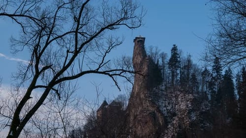 Trees and Castle Tower