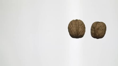 Two Shelled Walnuts Falling on White Background