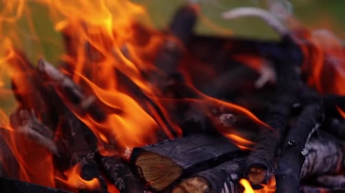 Fire flame in burning wood