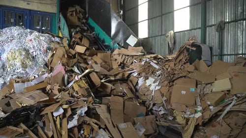 Paper Recyling