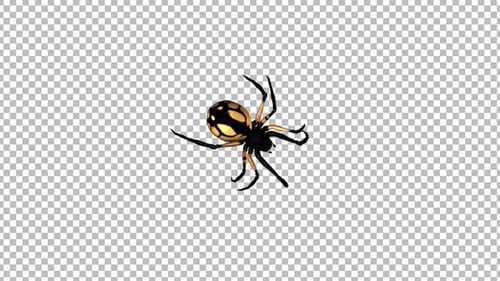 Walking Spider - Large Yelow - Alpha Channel - 4K