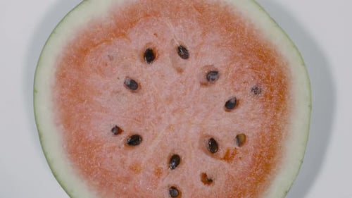Watermelon Slice
