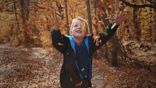 Child Playing with Autumn Leaves in Forest