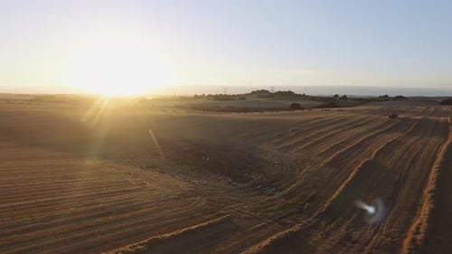 Grandes terres agricoles et un tracteur conduisant le long du champ avec le soleil en arrière-plan