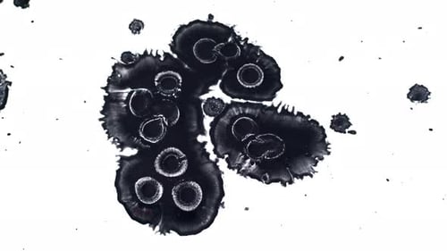 Black Ink Drops Expanding on White Surface