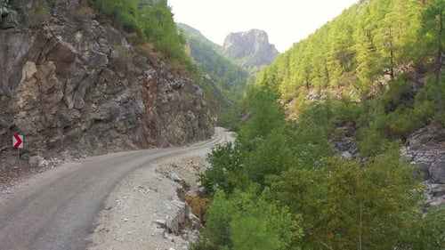 Move Forvard a Winding Road Along the River and Coniferous Forest in the Gorge of the Mountains of