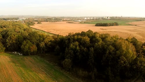 Felder im Licht des Sonnenuntergangs
