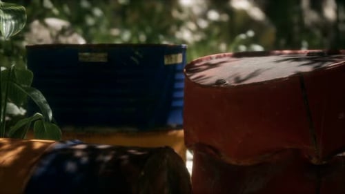 Rusty Barrels in Green Forest