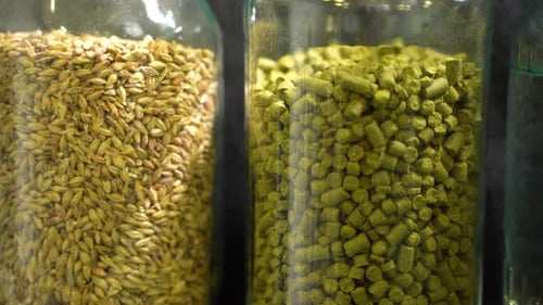 Malte, lúpulo e água. Tudo para fazer cerveja.