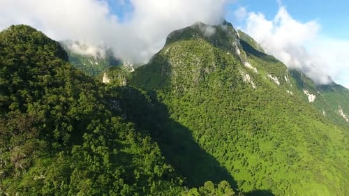 Aerial view of mountain and forest.