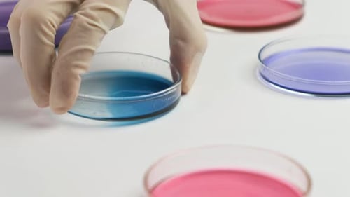 Moving Over Petri Dishes and Chemist Putting Samples for Microchemical Analysis.