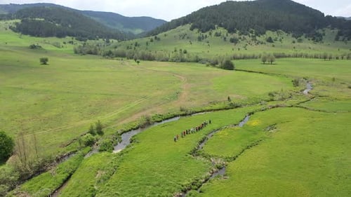 Group Of People Trekking In Meadow 3