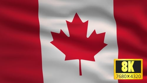 Realistic Canadian Flag Waving Seamless Loop