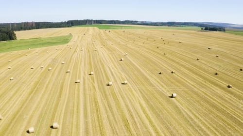 Aerial Drone Shot a Field with Hay Bales in a Rural Area on a Sunny Day