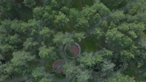 Green city park with pine trees, footpaths, benches and people walking around and resting