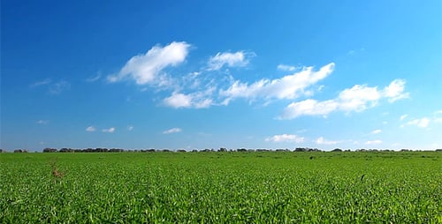 Sommer-Landschaft