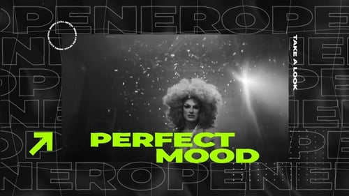 Fast Intro For Premiere Pro