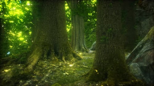 Der Urwald mit Moosboden