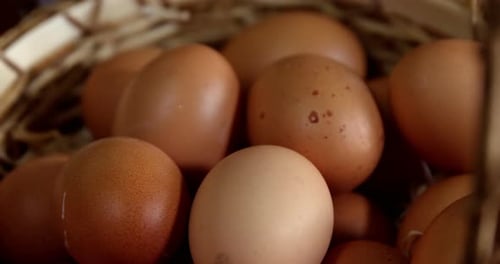 Eggs in wicker basket